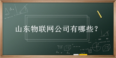 山東物聯網公司