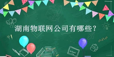 湖南物聯(lián)網公司