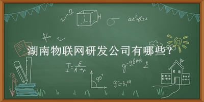 湖南物聯(lián)網(wǎng)研發(fā)公司