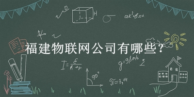 福建物聯(lián)網公司